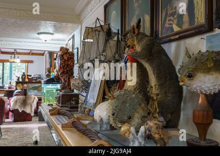 Otira, Nouvelle-Zélande - 5 mai 2022; Artifact intérieur bondé de l'historique Stagecoach Hôtel sur l'autoroute principale à travers le col Arthurs. Banque D'Images