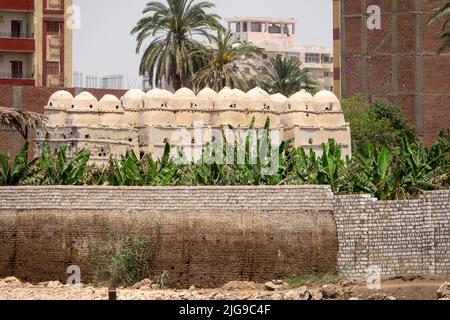 Propriété domestique et maisons de pigeon sur les rives du Nil, Égypte Banque D'Images