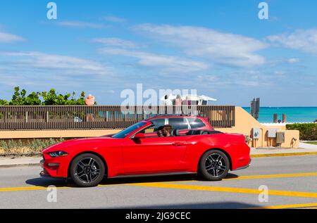 Palm Beach, Floride Etats-Unis - 21 mars 2021: Ford Mustang côté voiture sur la route dans Palm Beach Banque D'Images