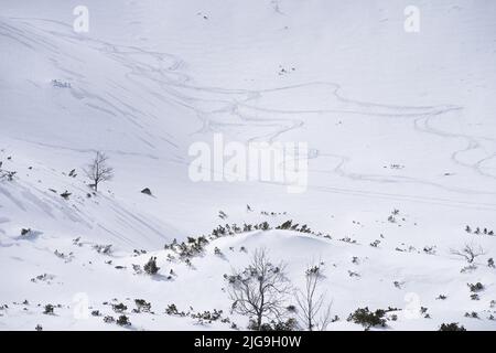 Paysage alpin d'hiver simple recouvert de neige et quelques pistes de ski, Slovaquie, Europe Banque D'Images