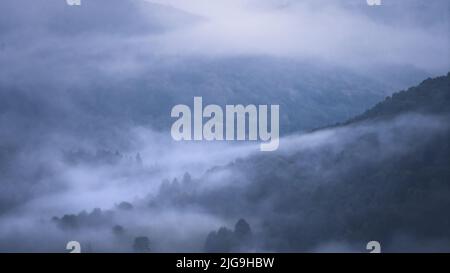 Forêt dense entourée d'un épais brouillard, Slovaquie, Europe Banque D'Images
