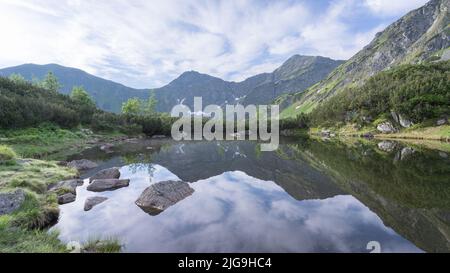 Tarn toujours alpin reflétant les montagnes environnantes et l'environnement, Slovaquie, Europe Banque D'Images