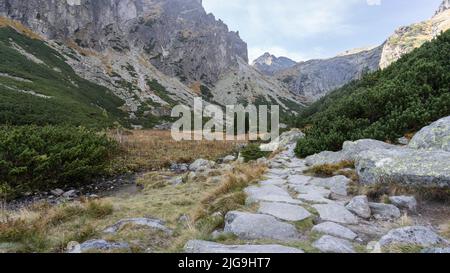 Chemin en pierre menant à travers la belle vallée alpine entourée par les montagnes, Slovaquie, Europe Banque D'Images