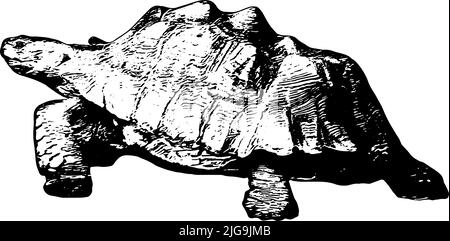 Illustration du vecteur tortue en noir sur fond blanc Illustration de Vecteur