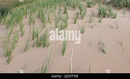 Vent se déplaçant au-dessus du lac Michigan Banque D'Images