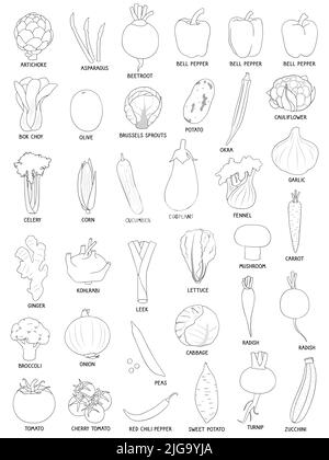 Collection de divers légumes dessinés à la main, contours noirs isolés sur fond blanc. Illustration de Vecteur