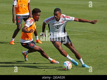 Munich, Allemagne. 8th juillet 2022. Ryan Gravenberch (R) du Bayern Munich et son coéquipier Kingsley Coman assistent à une séance d'entraînement pré-saison au terrain d'entraînement du club de football de Bayern Munich, rue Saebener, à Munich, en Allemagne, sur 8 juillet 2022. Credit: Philippe Ruiz/Xinhua/Alay Live News Banque D'Images