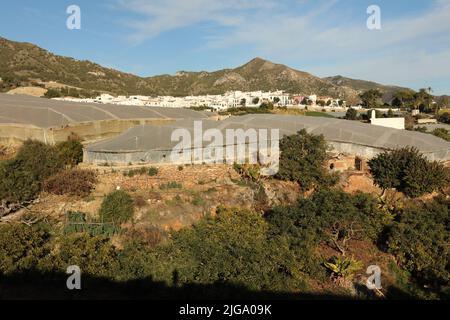 Serre de plastique blanc avec structure visible au bord de la mer et des montagnes Banque D'Images