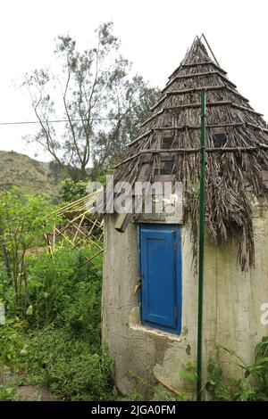 Cabane de jardin avec toit de foin, porte bleue et végétation poussant sur le mur Banque D'Images