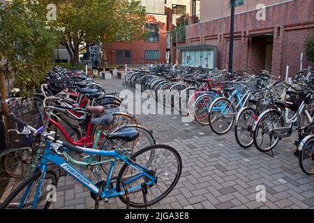 Bicycles campus de l'Université Rikkyo Ikebukuro Tokyo Japon Banque D'Images