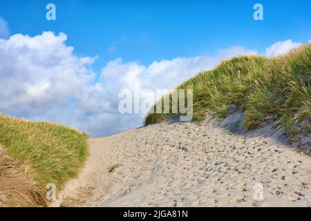 Gros plan sur un chemin de sable avec de l'herbe verte luxuriante qui pousse sur une plage avec un espace de copie nuageux. Beau ciel bleu sur une chaude et ensoleillée journée d'été sur un sec Banque D'Images