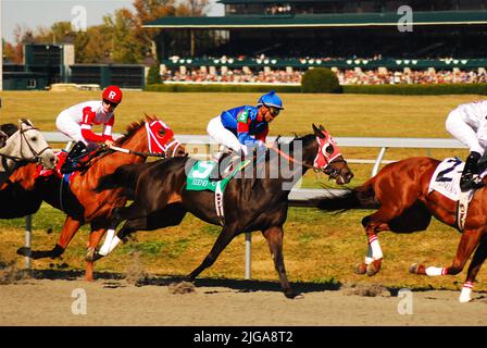 Les jockeys poussent leurs chevaux à aller plus vite tout en faisant des courses par une journée ensoleillée au Keeneland Race Track à Lexington Kentucky Banque D'Images