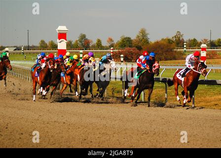 Les chevaux et leurs chevaux de course de jockeys autour du virage final jusqu'à la ligne d'arrivée tout en se faisant des courses de chevaux à Keeneland Race Track à Lexington Kentucky Banque D'Images