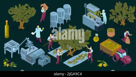 Ensemble de compositions de couleurs isolées de production d'huile d'olive des ouvriers d'arbres isométriques installations industrielles et illustration de vecteur agrimoteur Illustration de Vecteur
