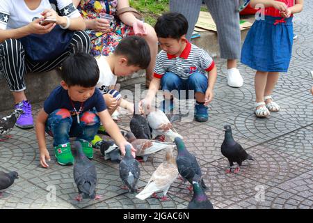 nourrir des pigeons sur les mains d'un garçon dans les rues Banque D'Images