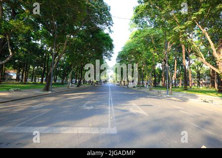 La route avec deux rangées d'arbres à Ho Chi Minh ville, Vietnam Banque D'Images