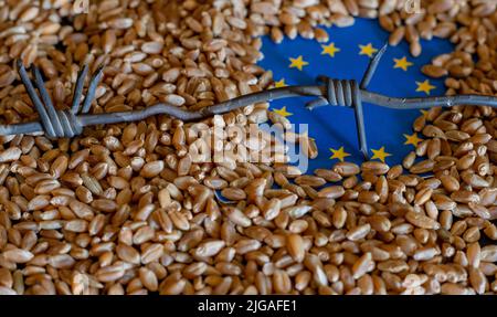 Drapeau de l'Union européenne sur les grains de blé. Concept de croissance du blé dans l'Union européenne, crise des céréales dans l'Union européenne, crise mondiale de la faim concept dû à W Banque D'Images