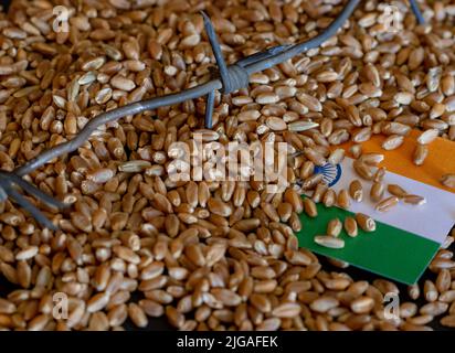 Drapeau de l'Inde sur le grain de blé. Concept de croissance du blé en Inde, crise des céréales en Inde, crise mondiale de la faim concept dû à la guerre Banque D'Images