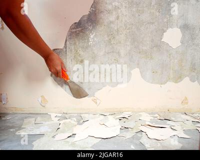 Retirer à la main la vieille peinture de l'ancien mur à l'aide d'une spatule métallique. Préparation de peinture à la maison Banque D'Images