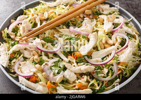 Salade de poulet vietnamienne Goi GA BAP Cai de poulet, chou, carottes, oignons et coriandre, mélangé avec une sauce de poisson sucrée et salée dans le pl Banque D'Images