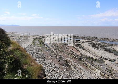 Quelques personnes recherchent des fossiles sur les trottoirs rocheux de la plage de Kilve, près de l'est de Quantoxhead, dans le Somerset, en Angleterre. Les strates de roche remontent aux Juras Banque D'Images