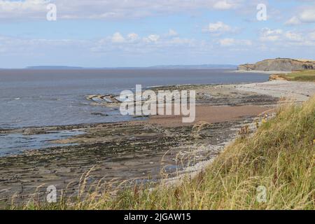 Les gens recherchent des fossiles sur les trottoirs rocheux de la plage de Kilve près de l'est de Quantoxhead dans le Somerset, en Angleterre. Les strates de roche remontent au Jurassic er Banque D'Images