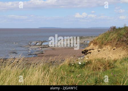 Les gens recherchent des fossiles sur les trottoirs rocheux de la plage de Kilve près de l'est de Quantoxhead dans le Somerset, en Angleterre. Les strates de roche remontent au Jurassic er Banque D'Images