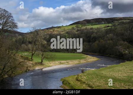 Rivière Wharfe dans un paysage rural pittoresque (vallée en pente, collines ensoleillées, rives de la rivière) - Bolton Abbey Estate, Wharfedale, Yorkshire Dales, GB, Royaume-Uni. Banque D'Images