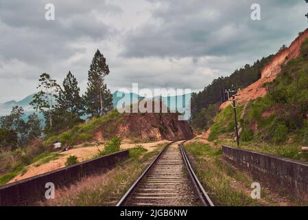 Chemin de fer dans les jungles du Sri Lanka Banque D'Images