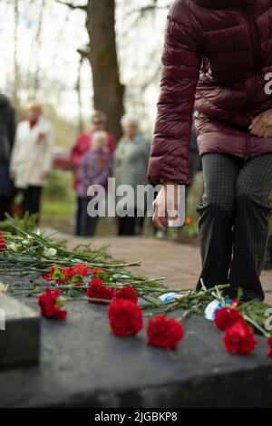 Fleurs rouges sur la tombe. Couleur de pose sur la pierre tombale. Cérémonie de deuil. Banque D'Images