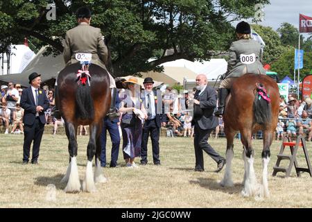 Lawford, Royaume-Uni. 09th juillet 2022. Le Tendring Hundred Show est le premier salon agricole d'Essex. Les chevaux lourds sont jugés sur l'anneau du Président. Crédit : Eastern Views/Alamy Live News Banque D'Images