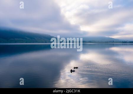 Aegerisee ou lac Aegeri est un lac glaciaire dans le canton de Zug, en Suisse Banque D'Images