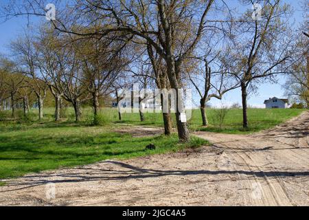 KEWADIN, MICHIGAN, ÉTATS-UNIS - 16 MAI 2018 : propriété abandonnée d'un camp d'été au lac Maplehurst, dans le nord du Michigan Banque D'Images