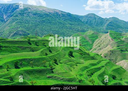 Terres agricoles en terrasse sur les pentes de montagne du Dagestan Banque D'Images