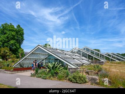 Princess of Wales Conservatory, Kew Gardens, Richmond, Londres, Angleterre, ROYAUME-UNI Banque D'Images