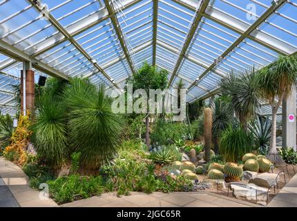 Intérieur du Princess of Wales Conservatory, Kew Gardens, Richmond, Londres, Angleterre, ROYAUME-UNI Banque D'Images