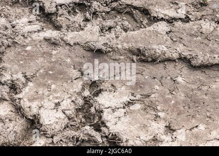 Chenilles de tracteur agricole dans la boue de séchage. Il y a encore de l'humidité dans le sol ici mais il s'assèche. La Grande-Bretagne sèche. Banque D'Images