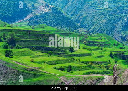 paysage de montagne avec terrasses agricoles vertes sur les pentes Banque D'Images