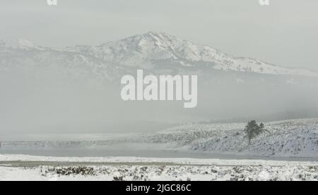 Montagnes dans la vallée de Hayden près de la rivière Yellowstone Banque D'Images