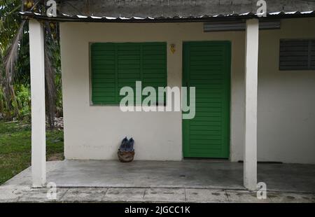 Paysage avec une maison traditionnelle de fermiers dans la campagne de Viñales, Pinar del Rio Cuba. Banque D'Images