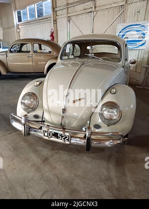 Ancienne berline Volkswagen type 1 Beetle ou Bug, refroidissement par air, moteur arrière, économie dans un entrepôt. Expo Fierro 2022 salon de voiture classique. CopySpace. Banque D'Images