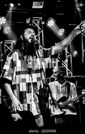 Nonpalidece - le groupe reggae dans un spectacle en direct en Argentine Banque D'Images