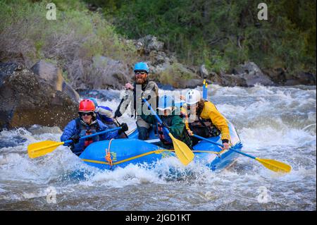Rafting sur la rivière Bruneau dans l'Idaho avec Far & Away Adventures. Guide Walker Royston. Banque D'Images