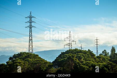Lignes électriques et poteaux sur les arbres avec ciel bleu et nuages en arrière-plan. Banque D'Images