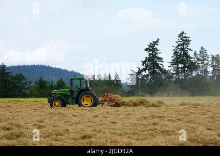 Tracteur agricole fauchant le champ de foin. Banque D'Images