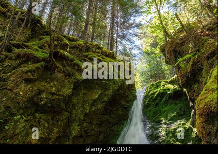 Dickson Falls, parc national de Fundy, Nouveau-Brunswick, Canada Banque D'Images