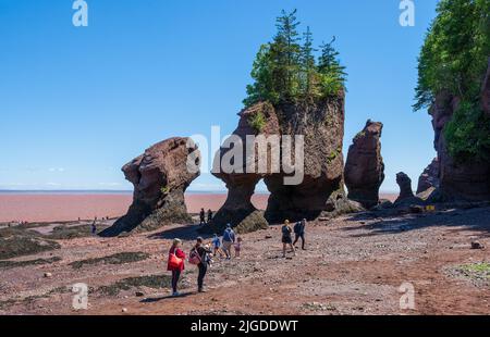 Touristes explorant les rochers Hopewell à marée basse. Parc provincial Hopewell Rocks, baie de Fundy, Nouveau-Brunswick, Canada Banque D'Images