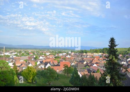 Balingen am Kaiserstuhl est une région viticole en Allemagne Banque D'Images