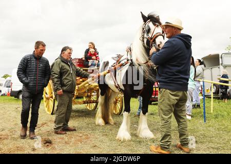 Hommes tenant un cheval coloré tirant un chariot traditionnel. Appleby Horse Fair, Appleby à Westmorland, Cumbria Banque D'Images