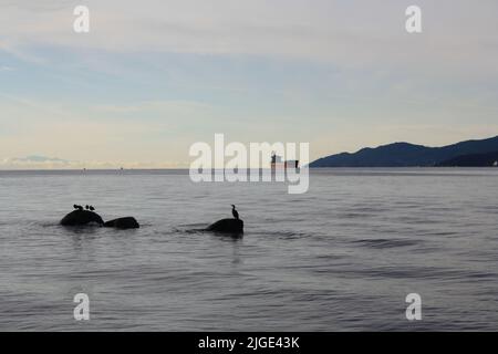 Une silhouette de mouettes assises sur des rochers dans le lac avec un cargo au loin à Vancouver, Colombie-Britannique, Canada Banque D'Images